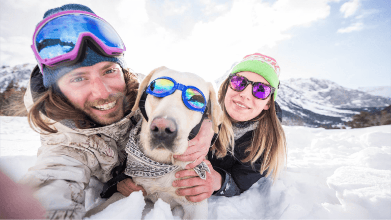 Two adventurous individuals and their thrill-seeking DogTrekker, donned in protective goggles, strike a pose for a selfie against the backdrop of an enchanting snowy mountain landscape. - Dogtrekker
