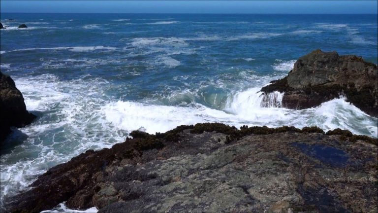 Waves crash against rocky cliffs at Shelter Cove, with a clear blue sky overhead. The foreground is filled with rocky formations covered in moss, and whitewater from the waves splashes against the rocks, contrasting sharply with the deep blue sea. This spot is dog-friendly.