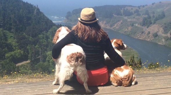 Bird watching in Mendocino.