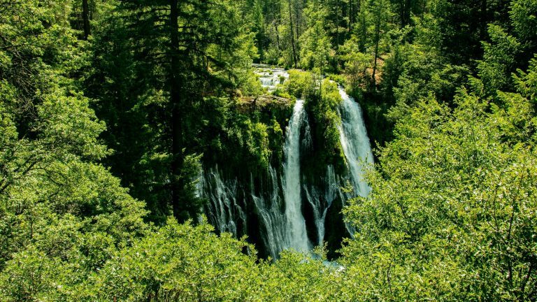 Waterfall by the Great Shasta Rail Trail