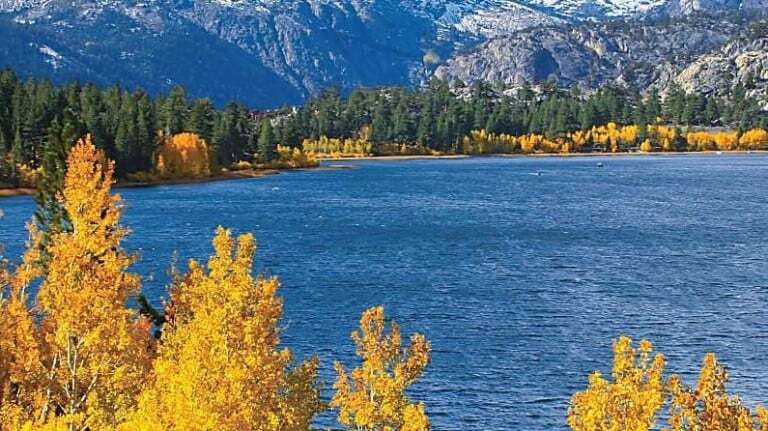 Fall color Eastern Sierra
