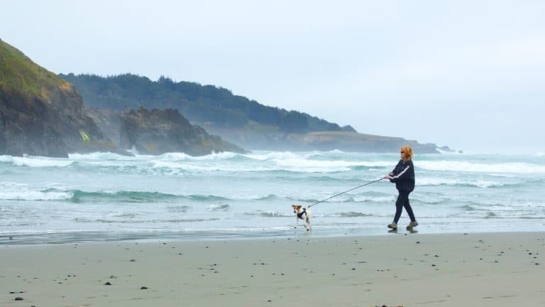 Big River State beach, Mendocino