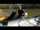 An adventure-and-nature loving man, donned in a vibrant blue shirt, sits in an eye-catching yellow kayak on a scenic waterbody. The serene atmosphere around him is further enhanced by the lush green trees enveloping the expanse. At his side, taking in the sights with him is his loyal black canine companion, both of them seeking adventure and connection in nature's embrace. Ideal for dog owners looking for bonding activities with their furry friends amidst natural beauty and tranquility. - Dogtrekker