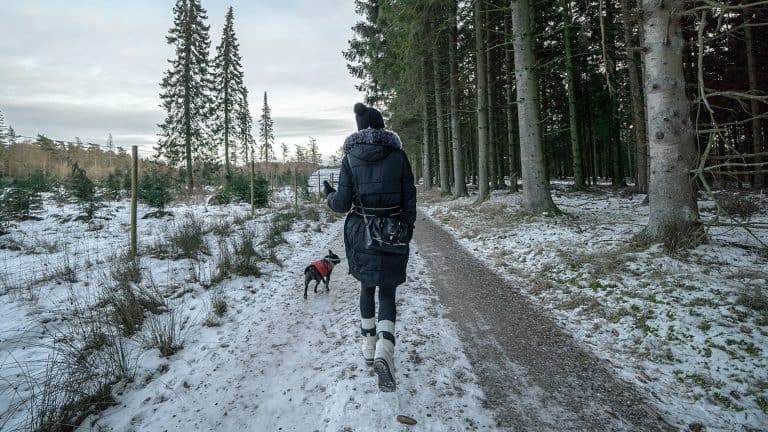 woman with dog walking on a plowed trail