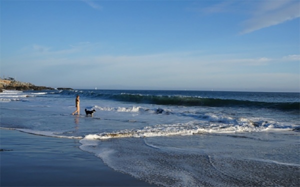 Aerial view of Santa Cruz beach
