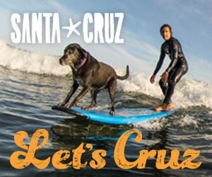 Dog and person on surfboard in Santa Cruz