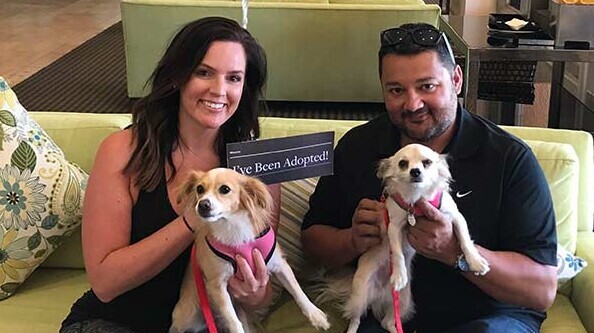 2 dog samaritans holding 2 dogs at Westin Mission Hills