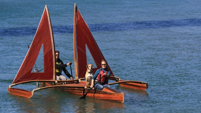 Dogs on a boat near the Stanford Inn