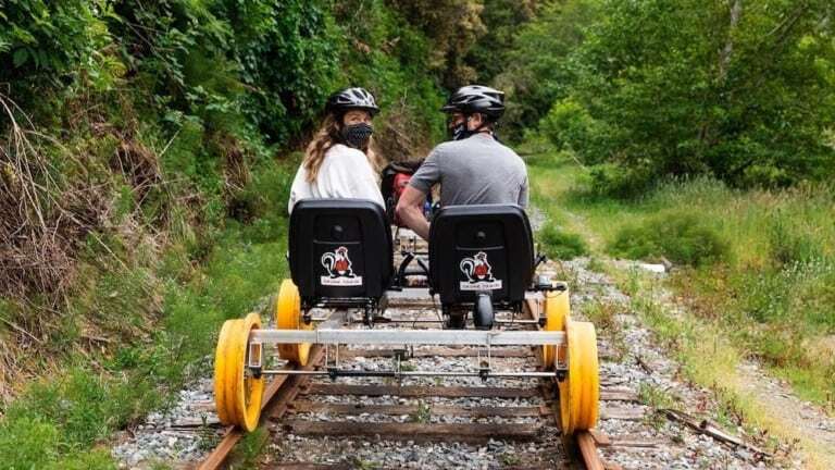 Skunk Railbikes with dog carrier.