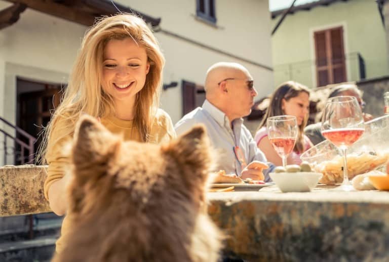 Group of friends outdoor with woman feeding her dog at the table