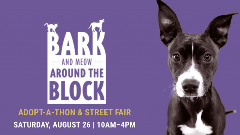 Bark and Meow Around the Block poster