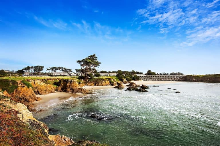 Enter to Win Beachcomber Dogcation