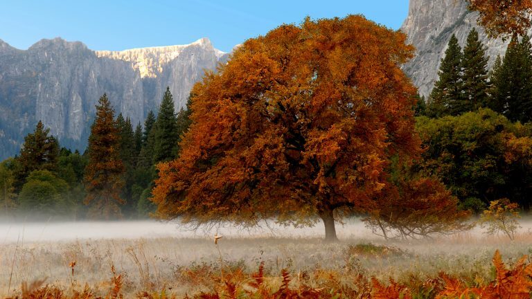 Yosemite valley