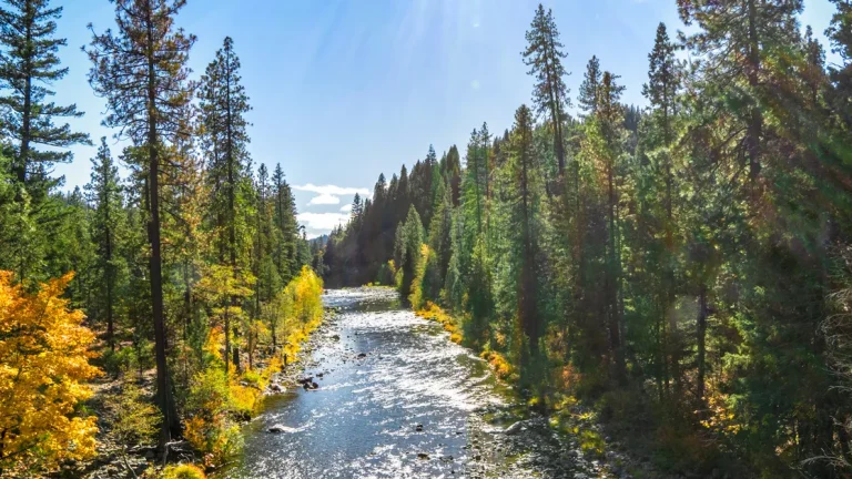 Trinity County river