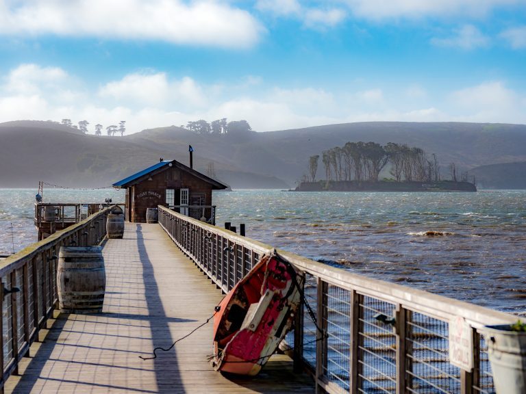 Nick's Cove