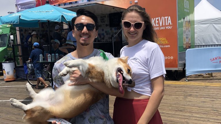 Every day is a dog day at Santa Monica Pier. Photo by Santa Monica Pier.